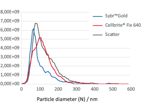 Example of an F-NTA measurement of a bacteriophage Phi6 preparation labelled with Sybr™Gold nucleic acid stain (blue curve) and Cellbrite® Fix 640 lipid layer stain (red curve) compared to scatter-based NTA (grey curve). Purity was calculated to be 82% for dsRNA and 85% for lipid layer containing phage particles.
